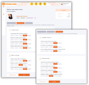assessment by criteria